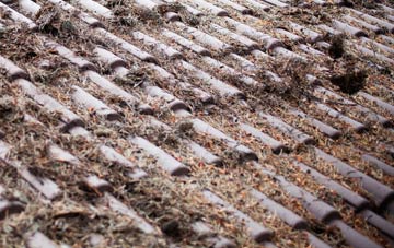 Balmacara roof cleaning companies